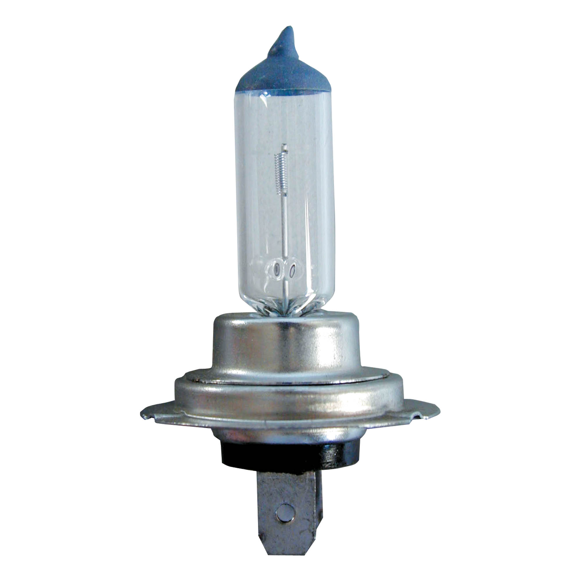 Halogen bulb 12V - H7 55W - BOSCH PURE LIGHT – DAC Srl